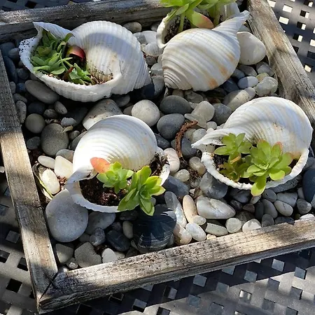 Apartman Juliet House