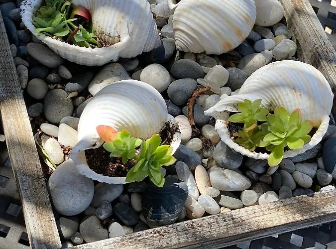 Apartmán Juliet House